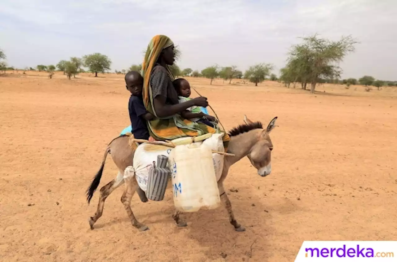 Foto : Perjuangan Warga Sudan Melarikan Diri dari Konflik Naik Keledai | merdeka.com