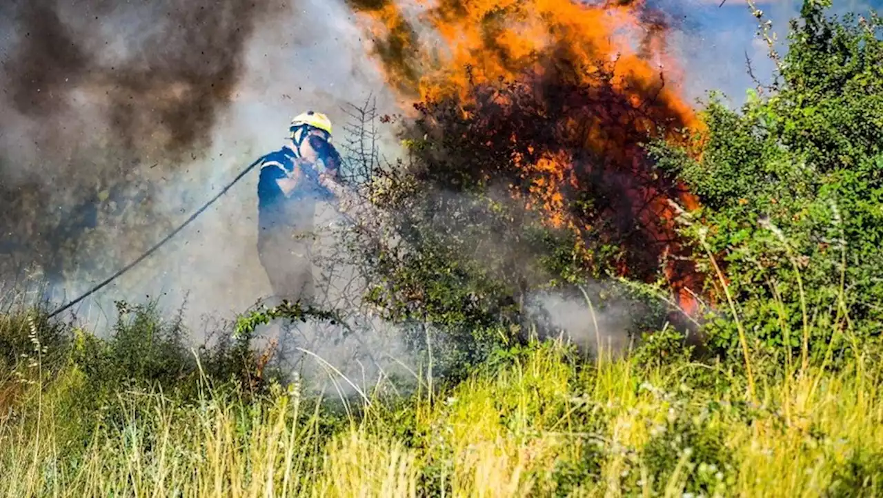 [VIDEO] Incendies volontaires : père, mère, fille, une famille de pyromanes interpellée, accusée de 23 feux