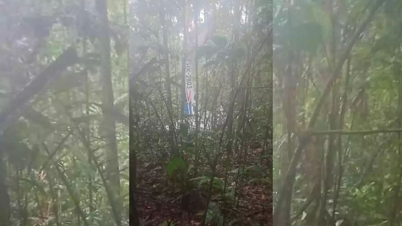 Colombia: encontraron a 4 niños que quedaron perdidos en la selva tras un accidente aéreo