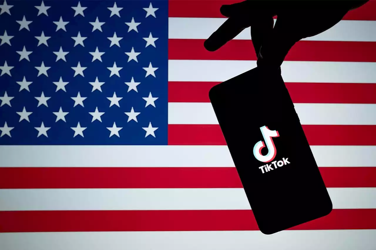 First US state bans TikTok