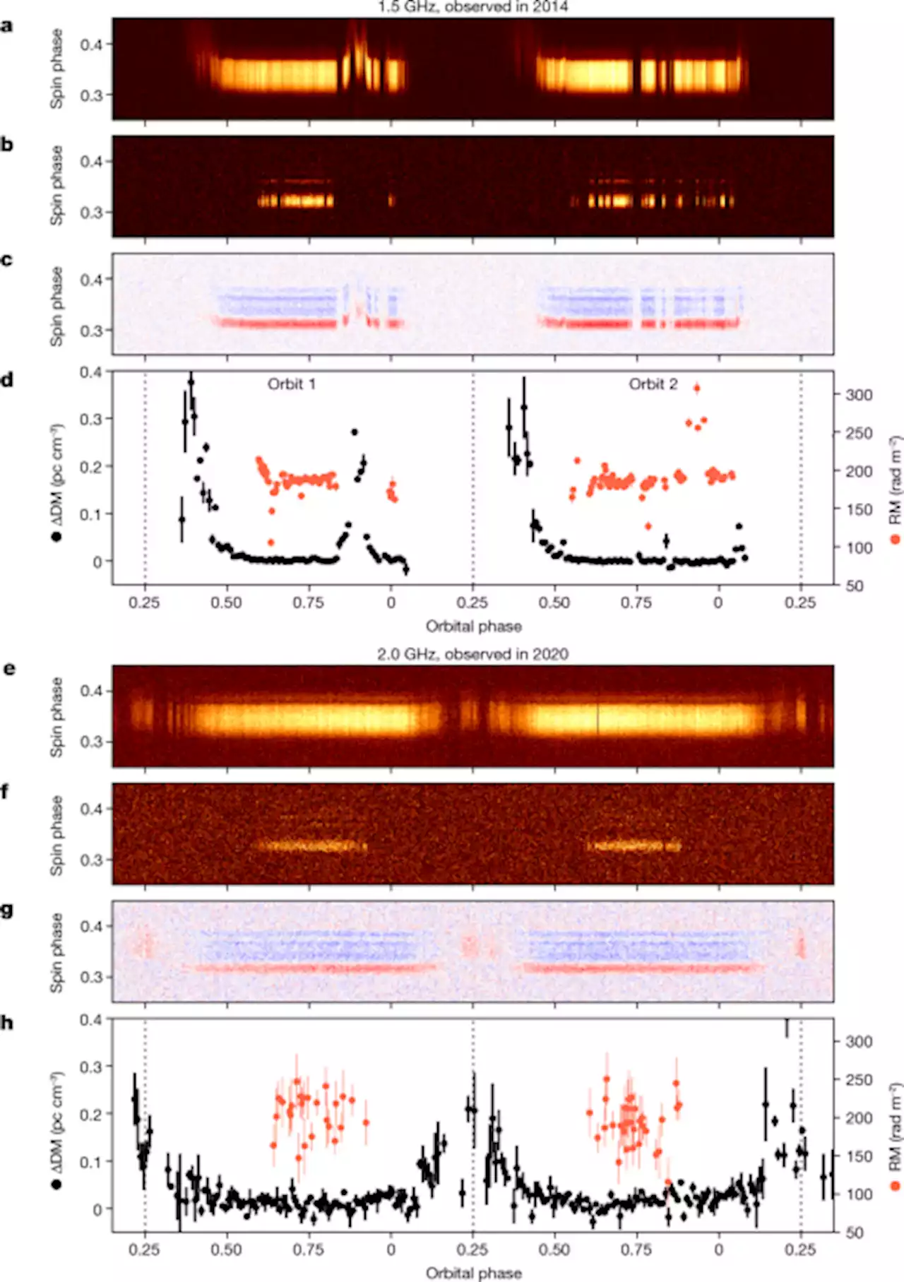 A highly magnetized environment in a pulsar binary system - Nature