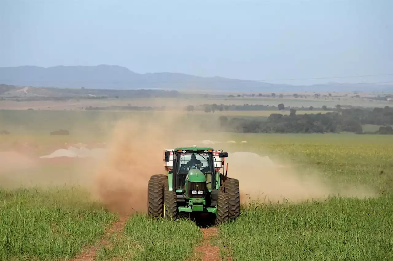 African countries to get fertiliser rescue package as Russia, Ukraine war affects food security | News24