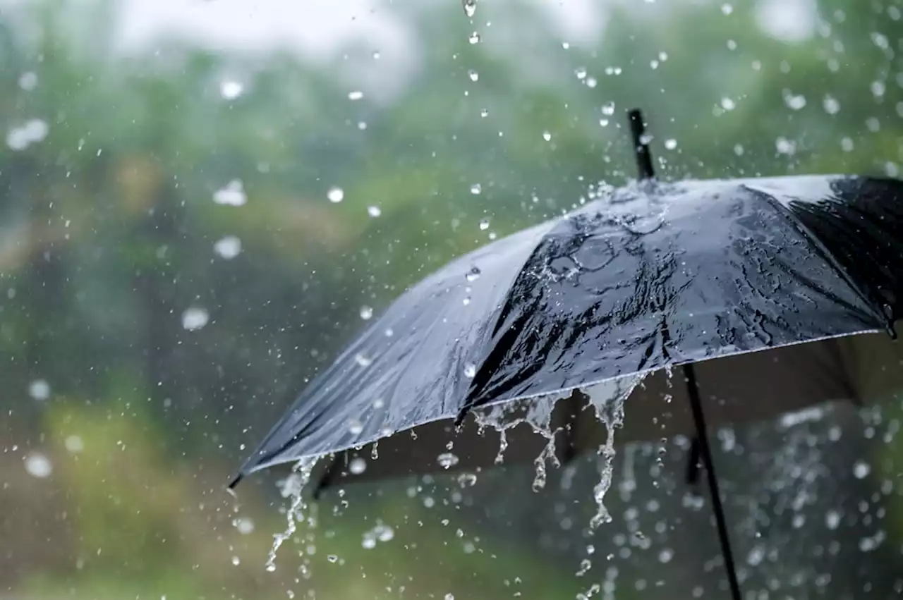 Freezing and raining Eastern Cape to wake up to snow and more rain on Friday | News24