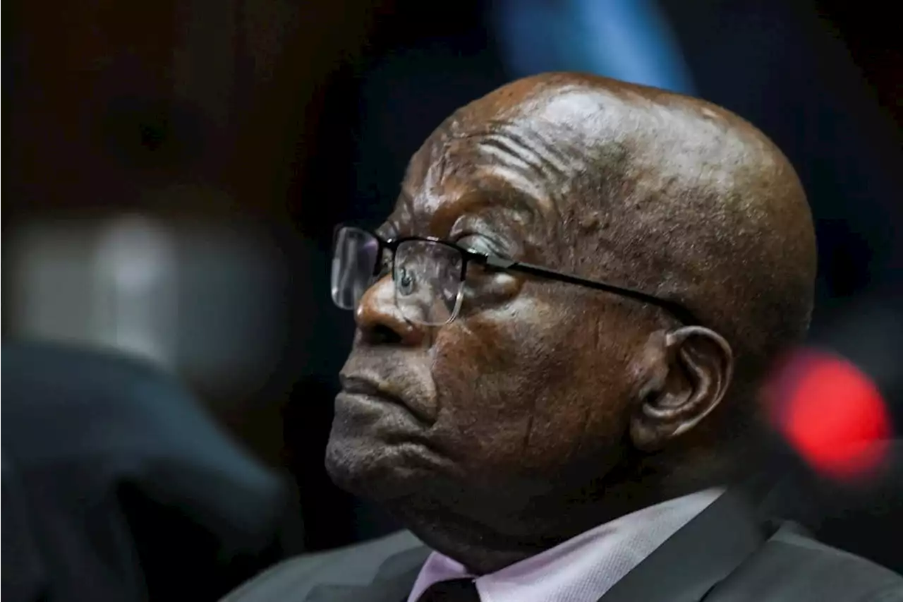 Zuma vs Ramaphosa: Judges take on Mpofu as he attacks 'lying' NPA for supporting Downer | News24