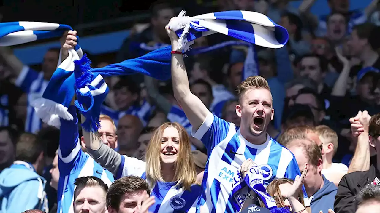 Brighton fans comments ahead of Newcastle United match - Intriguing