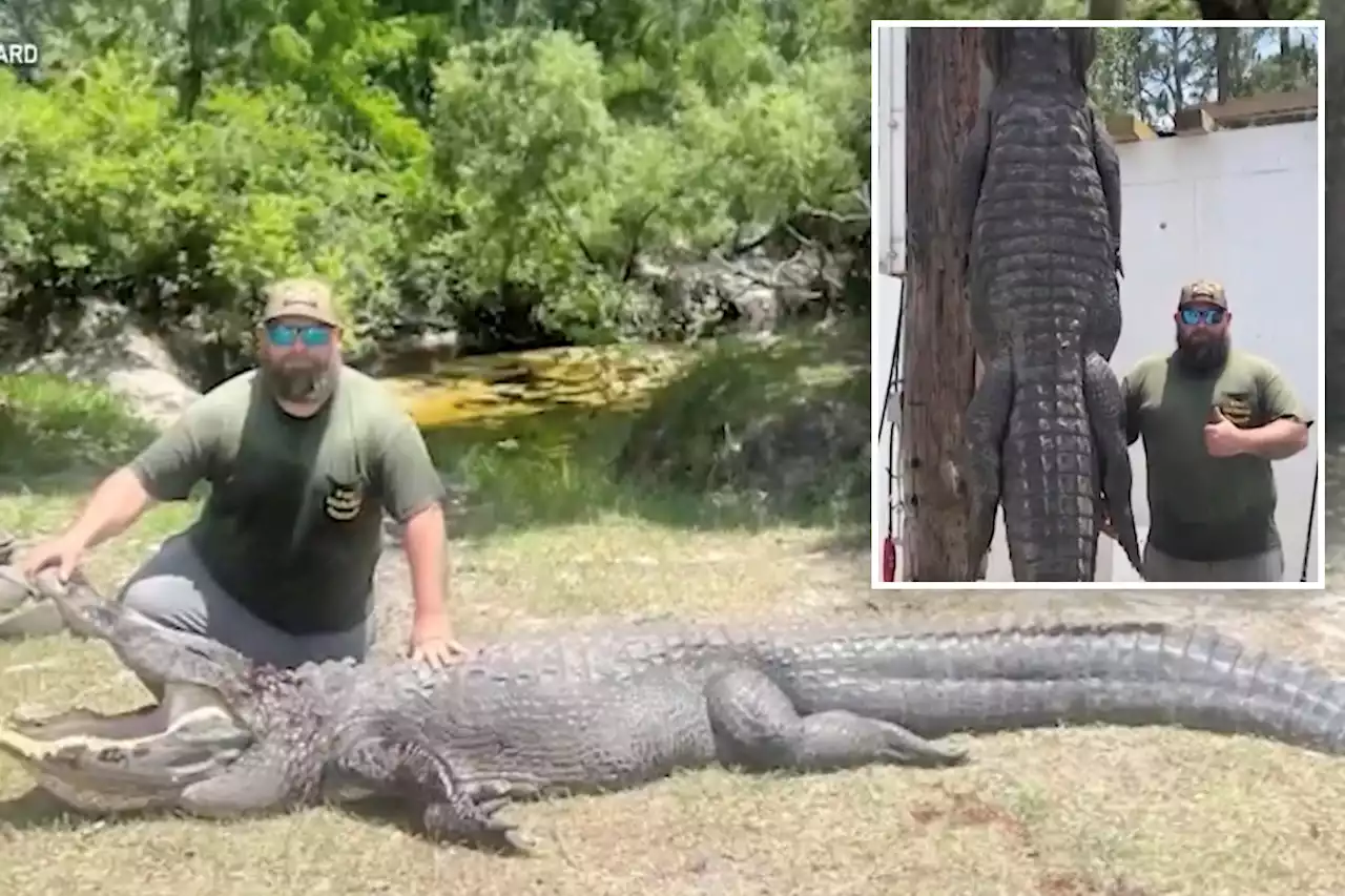 Florida man jumps on 12-foot gator’s back to free his dog from the reptile