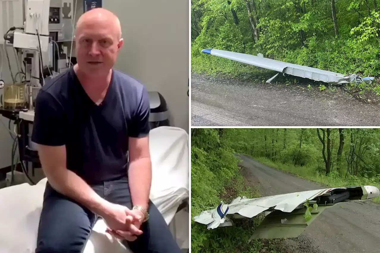 Heartless thief steals wing from wreckage of deadly plane crash that killed surgeon