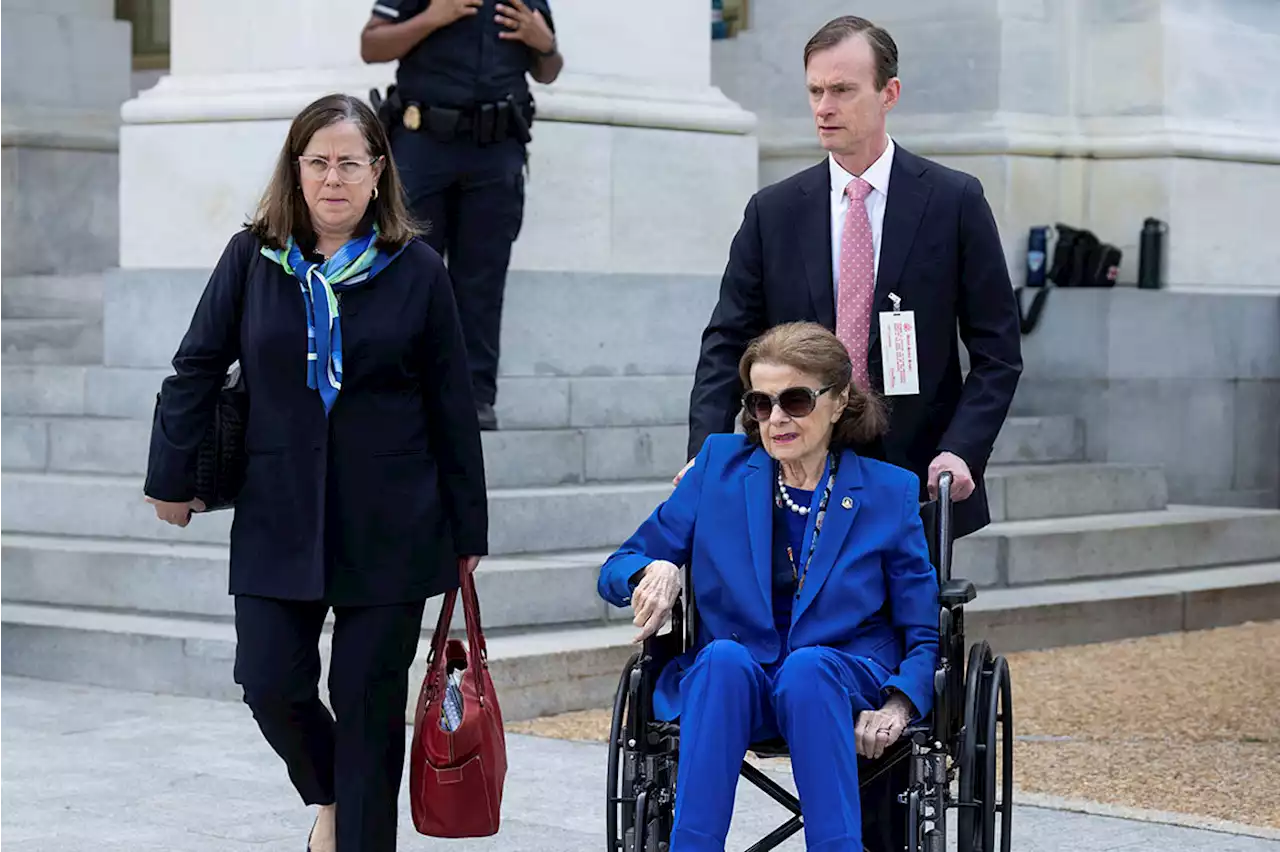 The Pelosi daughter at Dianne Feinstein's side