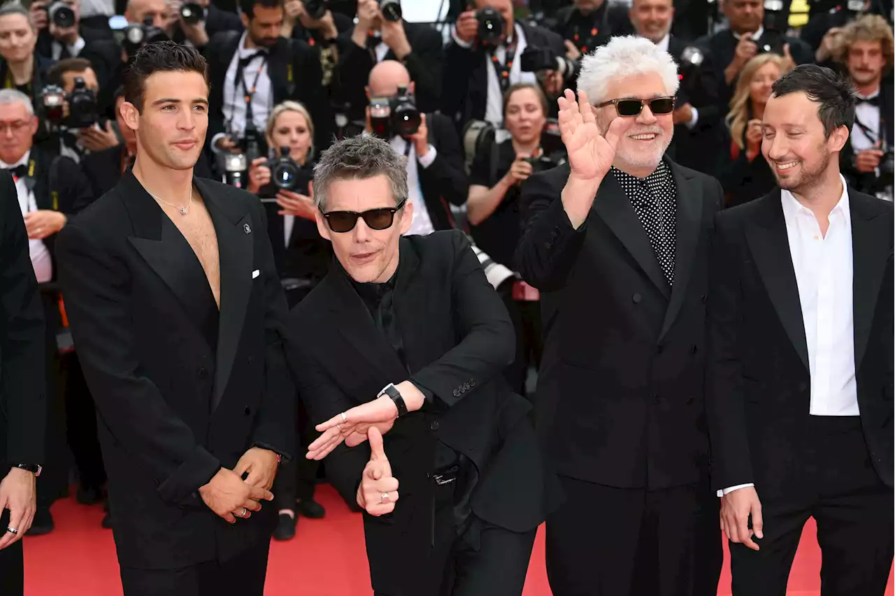 Cannes 2023: álbum de fotos - Zeleb