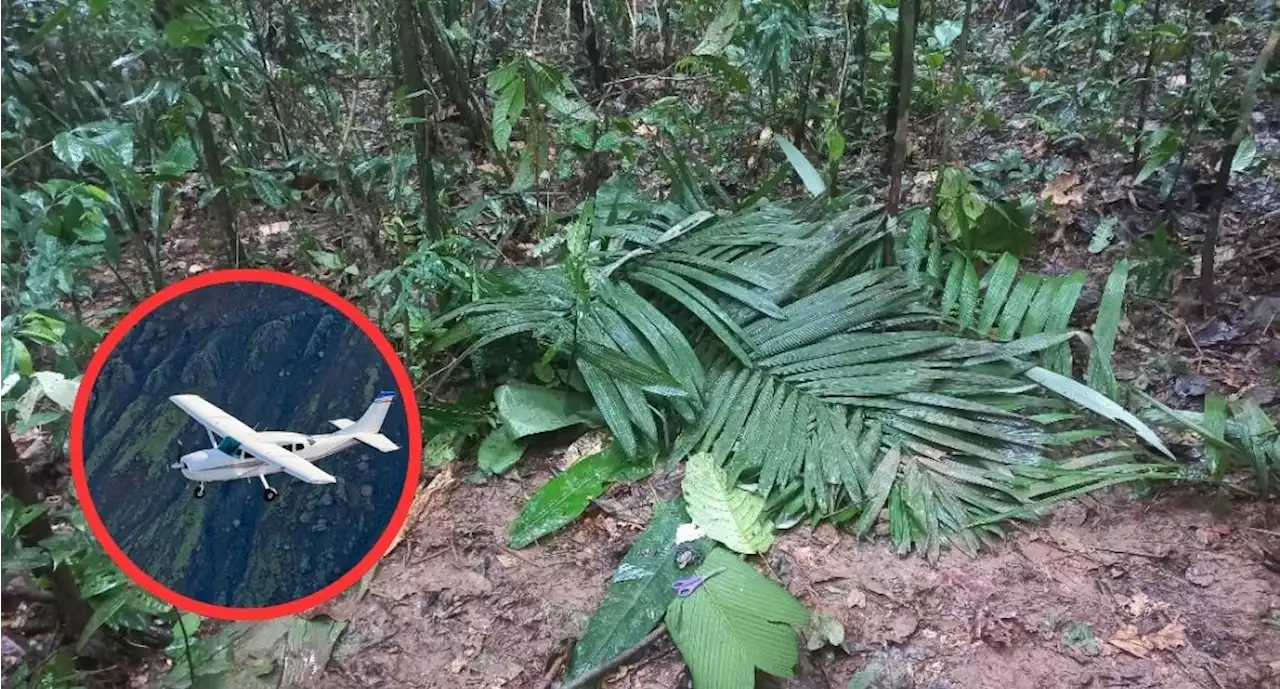 'Tienen que estar quietos': con este audio de la abuela buscaron a niños de avioneta - Pulzo