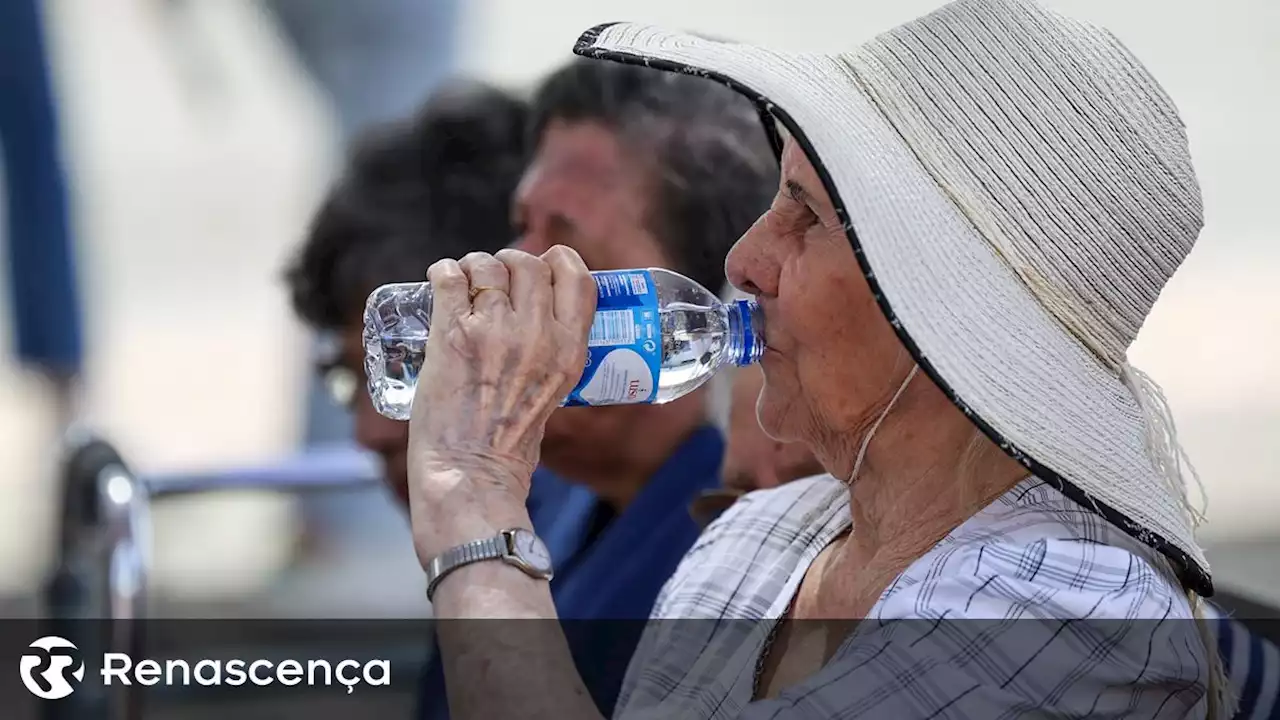 Próximos cinco anos com aumentos sem precedentes das temperaturas, alerta OMM - Renascença