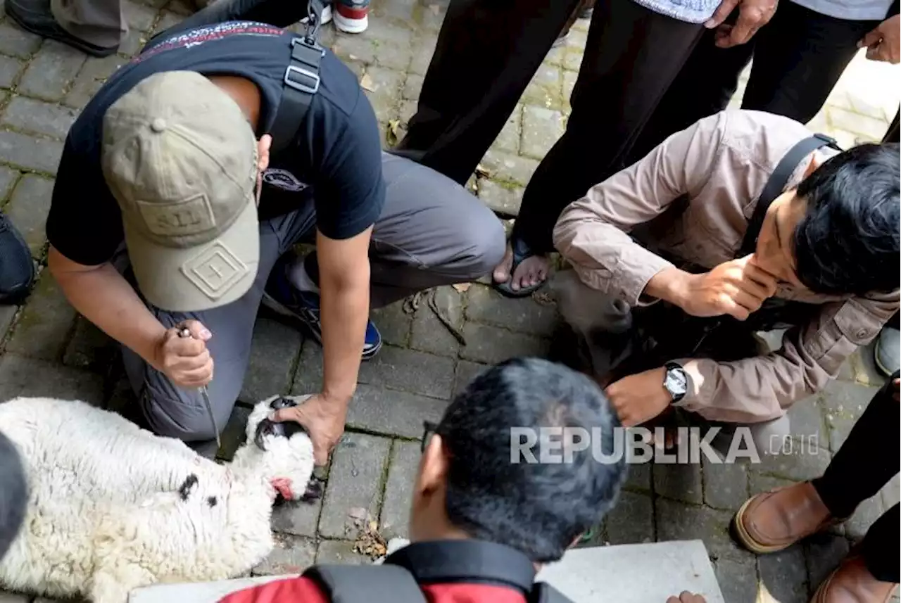 Akselerasi Ekosistem Halal, Santri di Jateng Dilatih Jadi ‘Kang Jalal’ |Republika Online