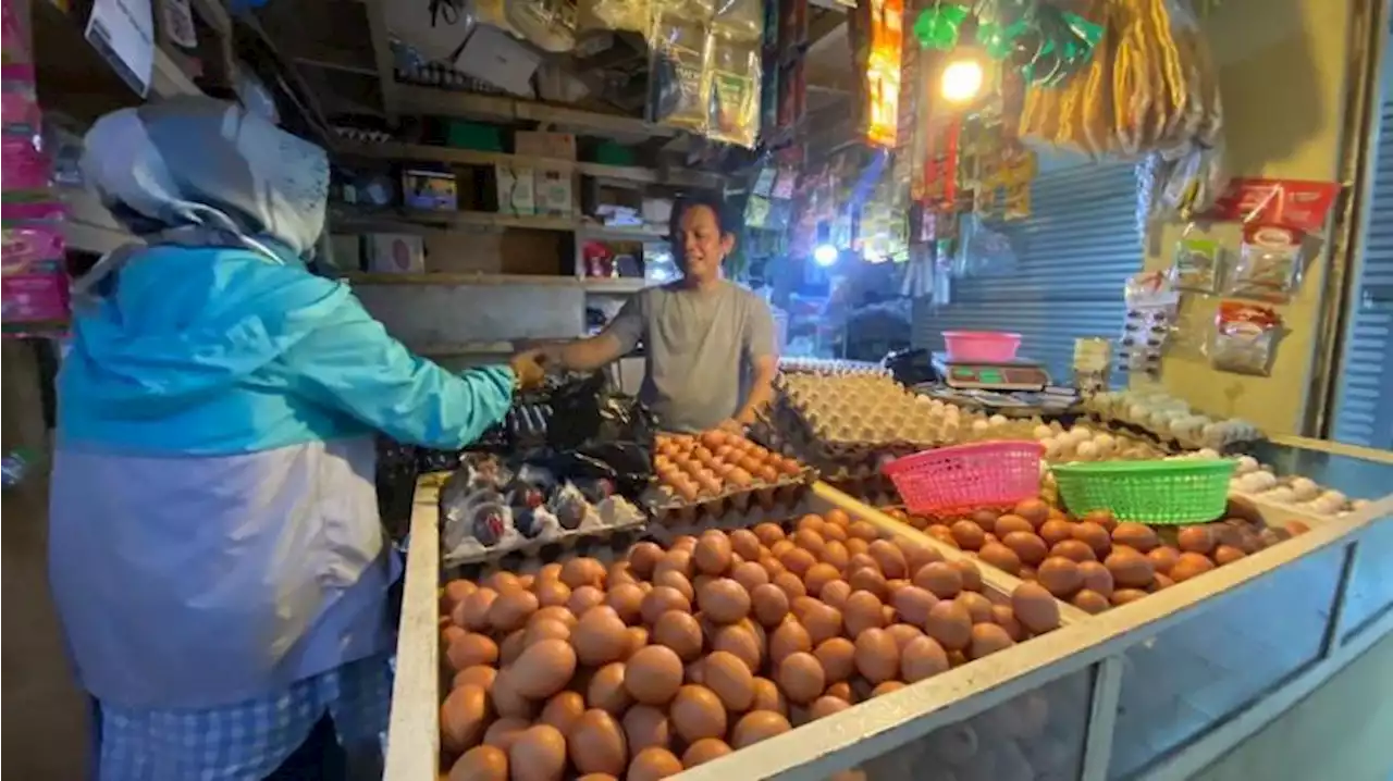 Harga Telur Ayam di Lampung Masih Merangkak Naik |Republika Online