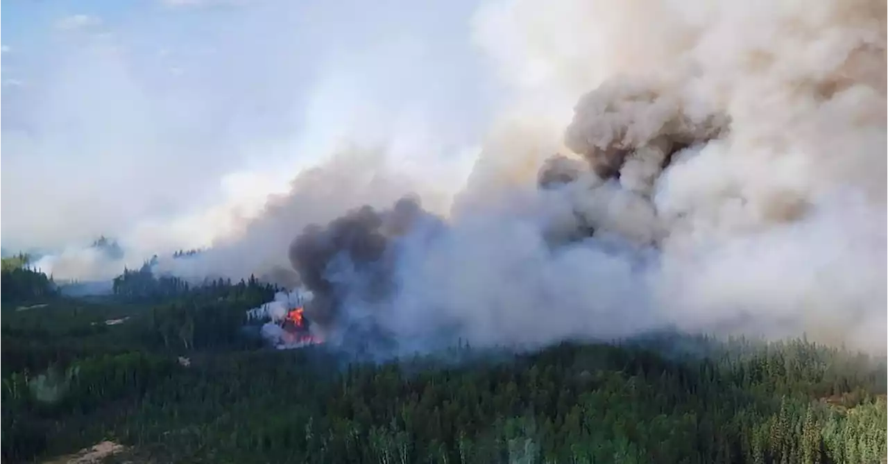 Canada's Alberta blanketed by smoke as wildfire-battle continues