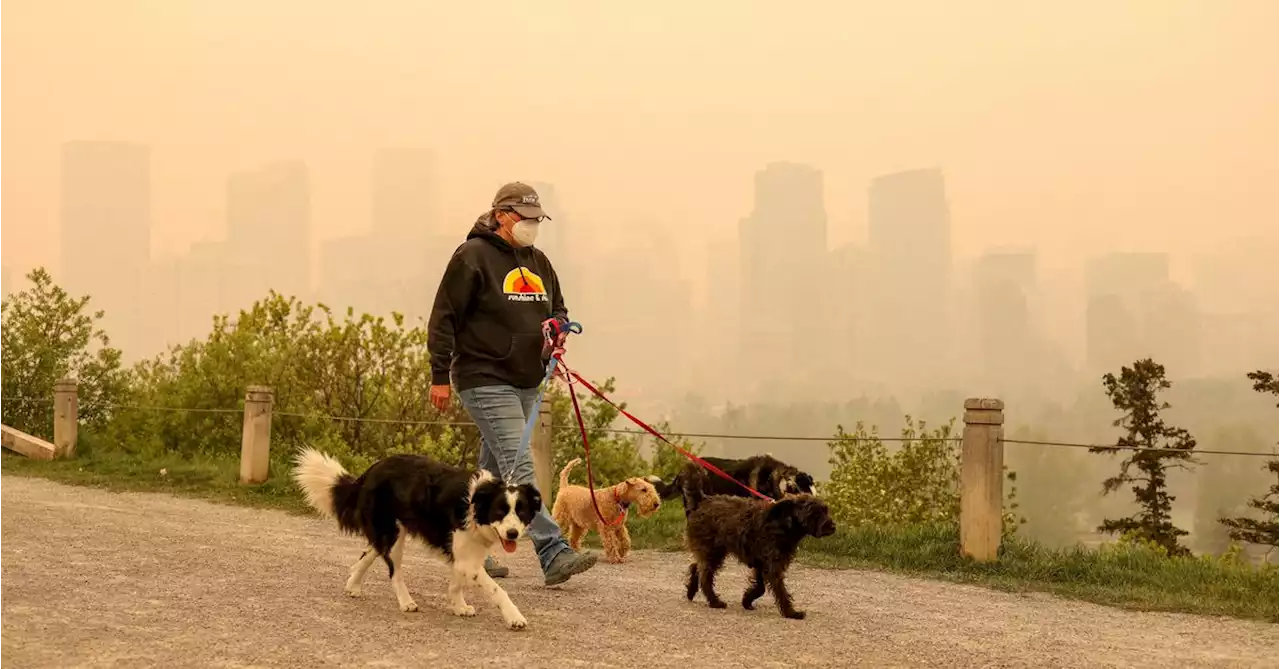 Alberta wildfires hit gas flow out of Canada to US, spiking prices