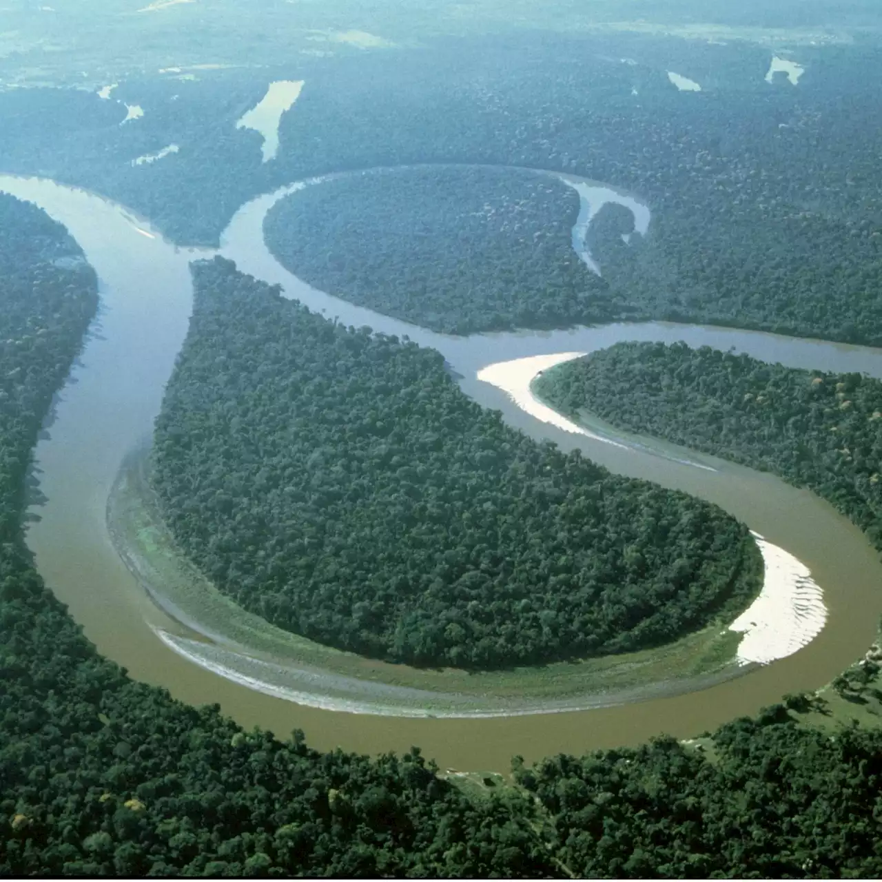 Colombie : quatre enfants ont survécu seuls 15 jours dans l'Amazonie