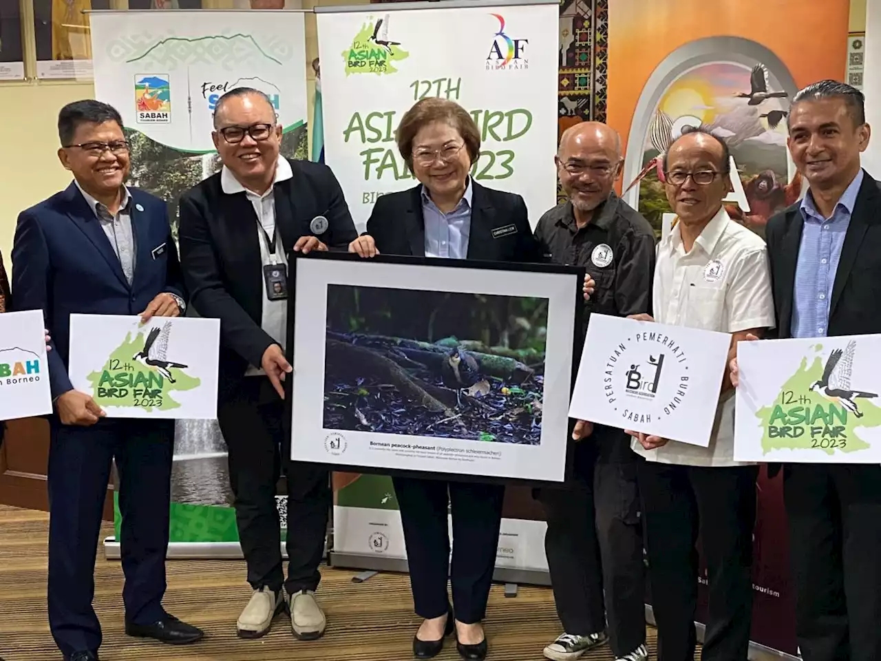 Chance to see 600 bird species including previously-thought extinct fowl in Sabah