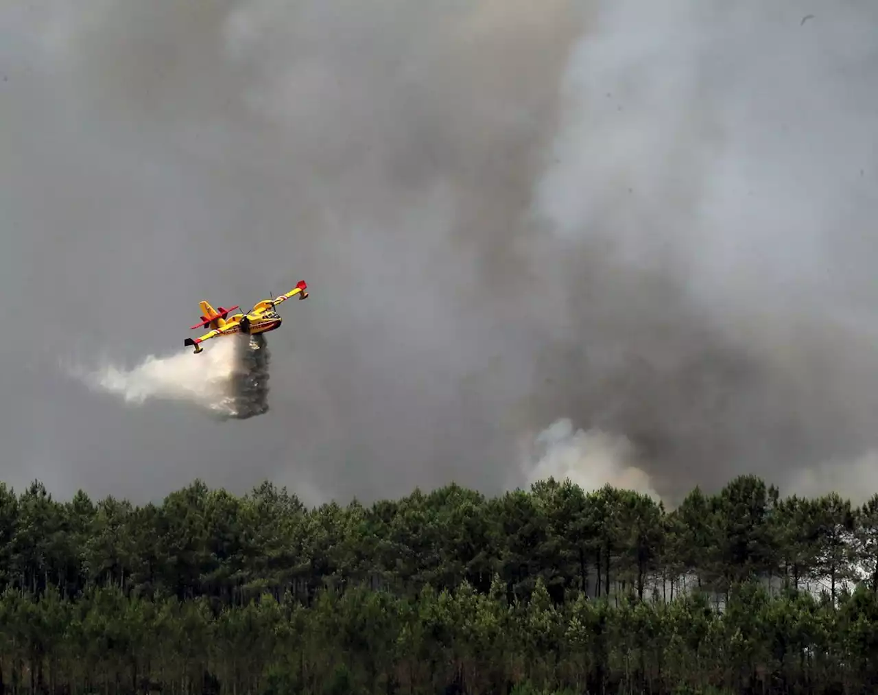 Incendies : fumer en forêt interdit en période à risque, vote l’Assemblée