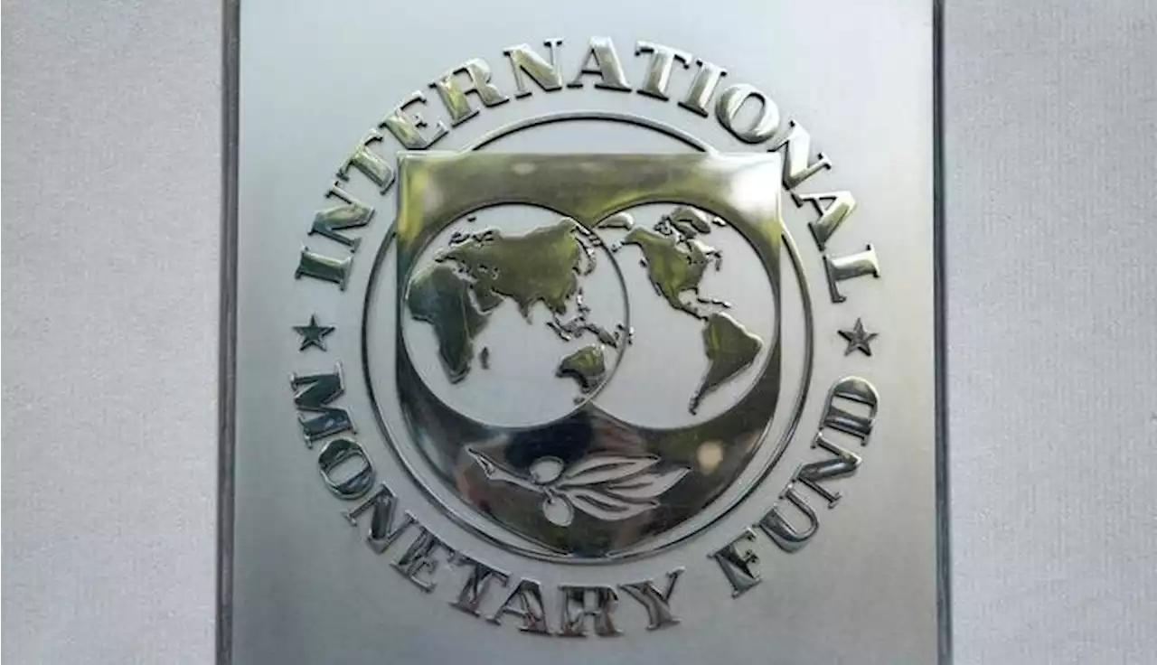 Analysts say fiscal discipline needed following Ghana-IMF deal - The Africa Report.com