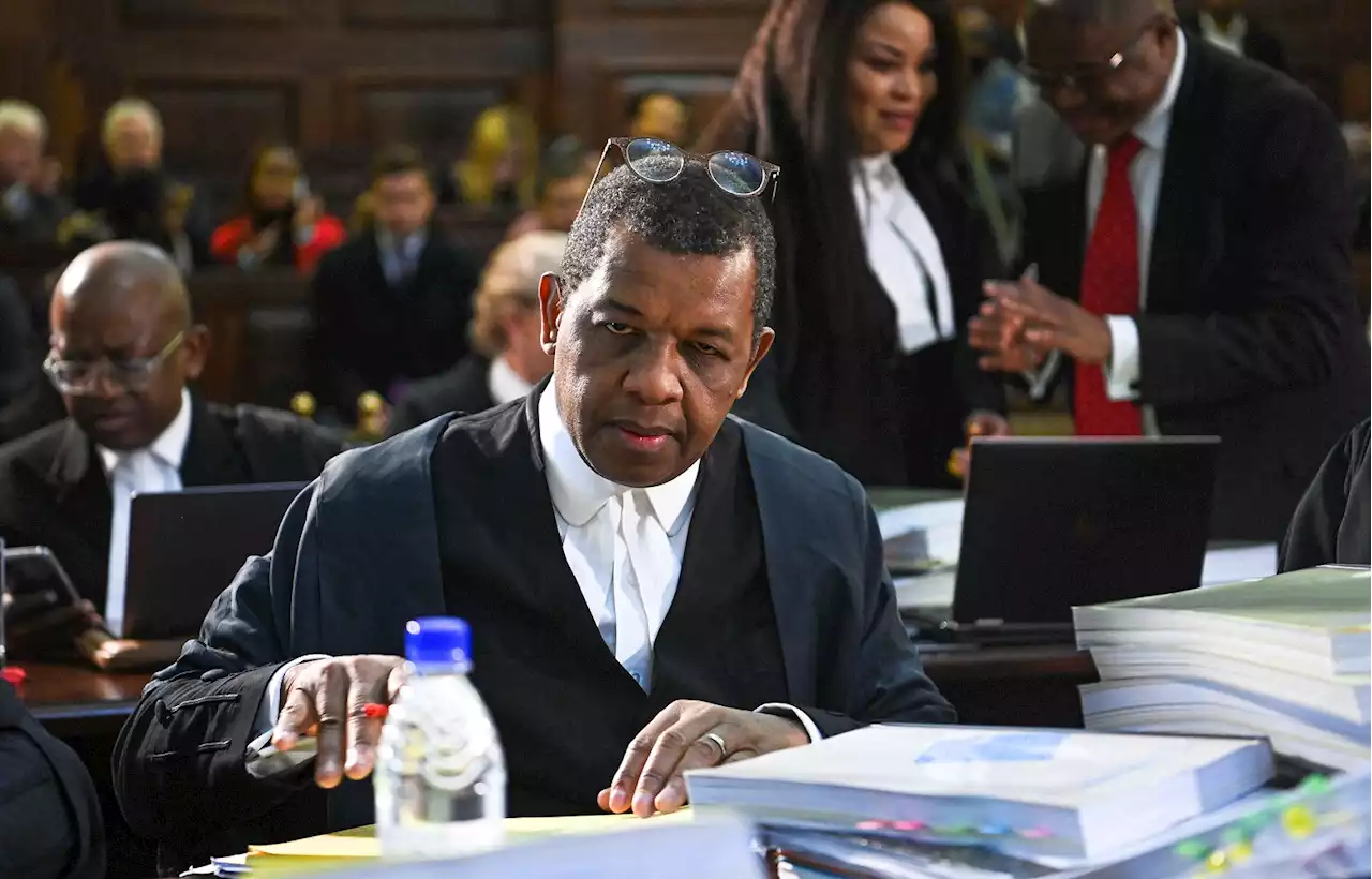 Mpofu argues Ramaphosa isn't entitled to be represented by state attorney | The Citizen