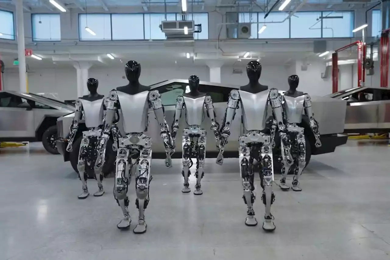 Tesla Bot: Is Optimus an emerging reality or continued sideshow? [VIDEO]