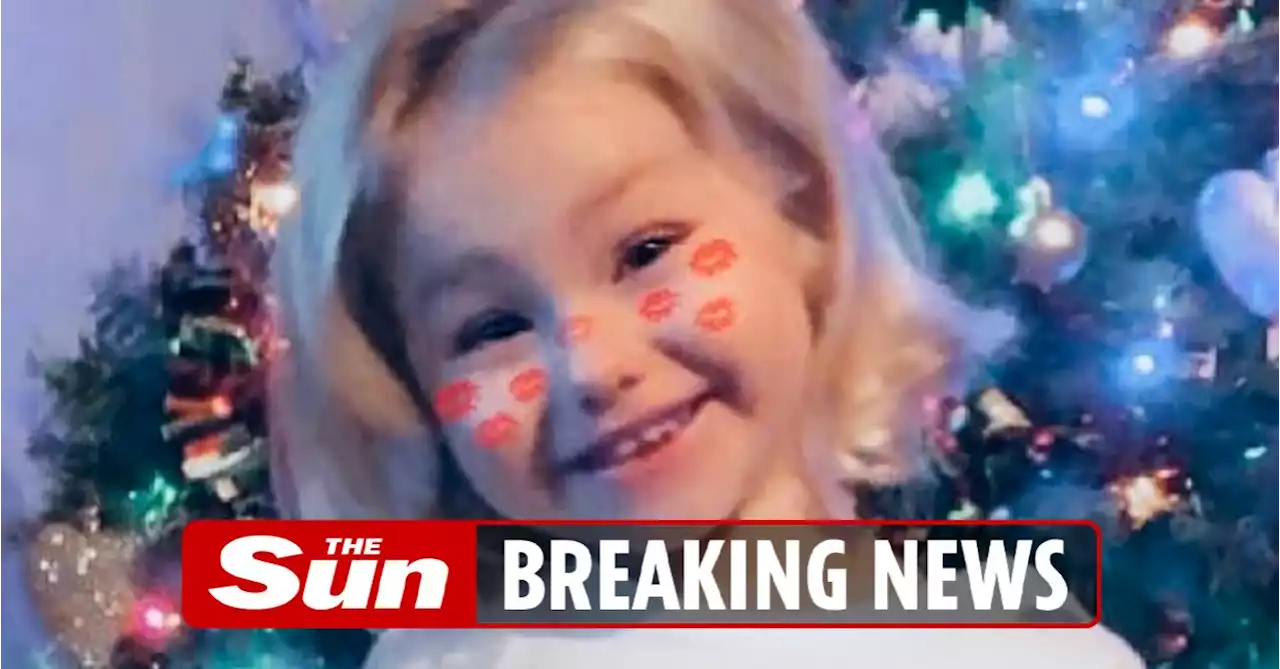 Girl, 3, killed when Hermes van hit her as mum watched in horror