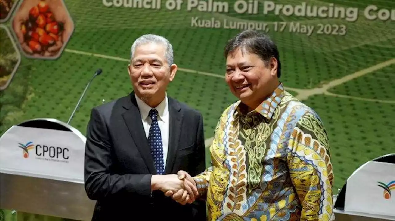 Negara-negara Produsen Minyak Sawit Dorong Wujudkan Ketahanan Pangan dan Energi Terbarukan - Tribunnews.com