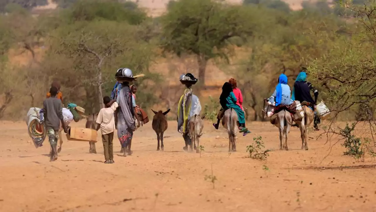 More than 843,000 internally displaced since start of Sudan conflict: IOM