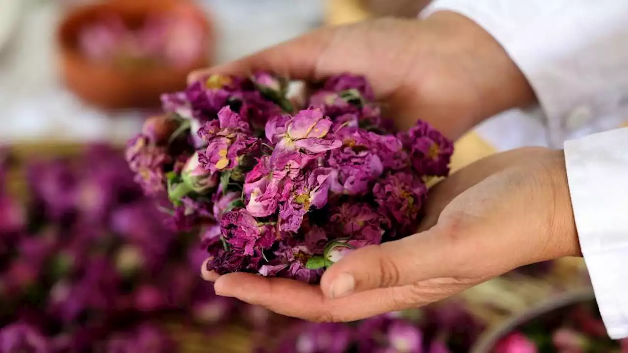 Scent of tradition lingers in Lebanon's 'village of roses'