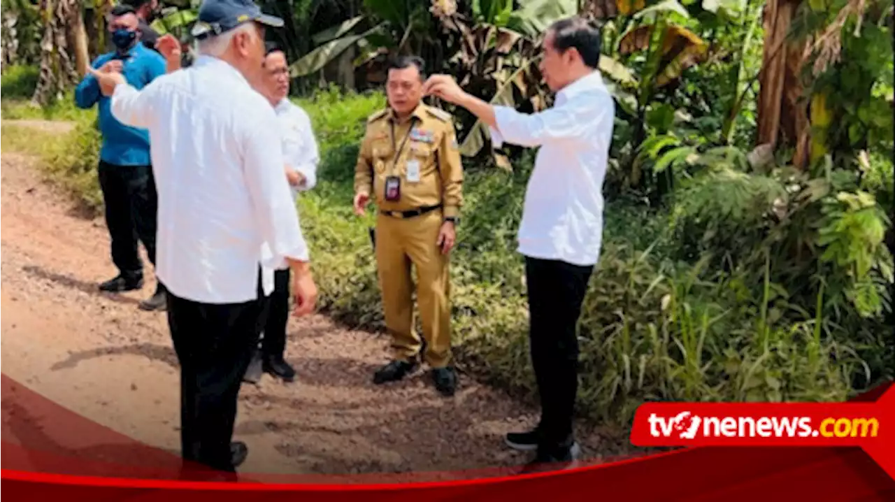 Jokowi Ambil Alih Perbaikan Jalan Rusak di Provinsi Jambi, Warganet: Pak Jokowi Datang Juga ke ...