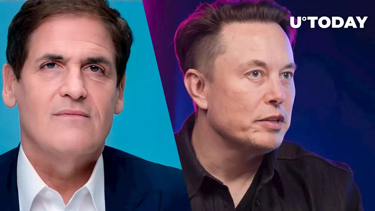 DOGE Fan Billionaire Mark Cuban on Elon Musk Building AI: 'Pretty Cool,' 'Pretty Scary'