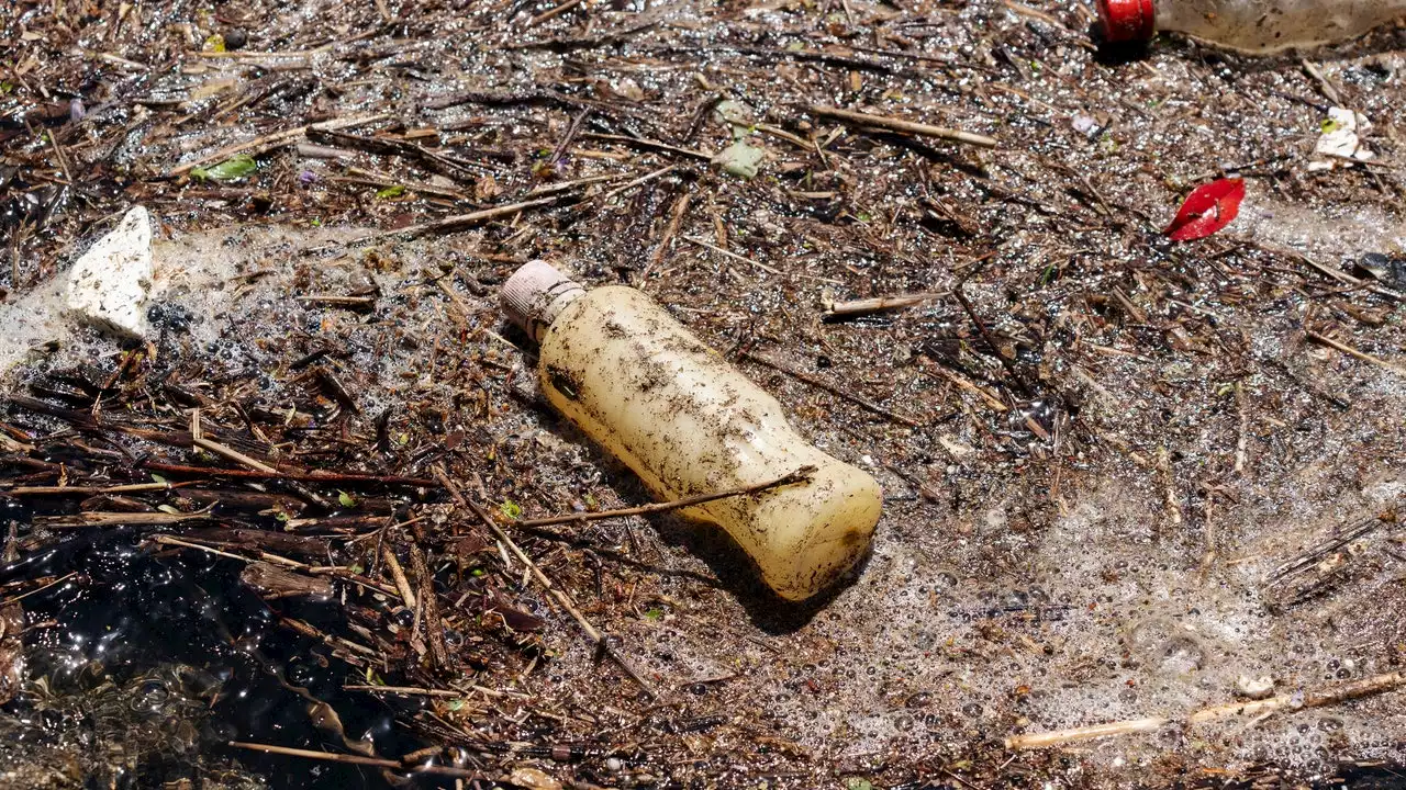 プラスチック汚染は、いまや「破壊的」なレベルに到達した：国連報告書が示す深刻な懸念と、問題解決への抜本的な道筋