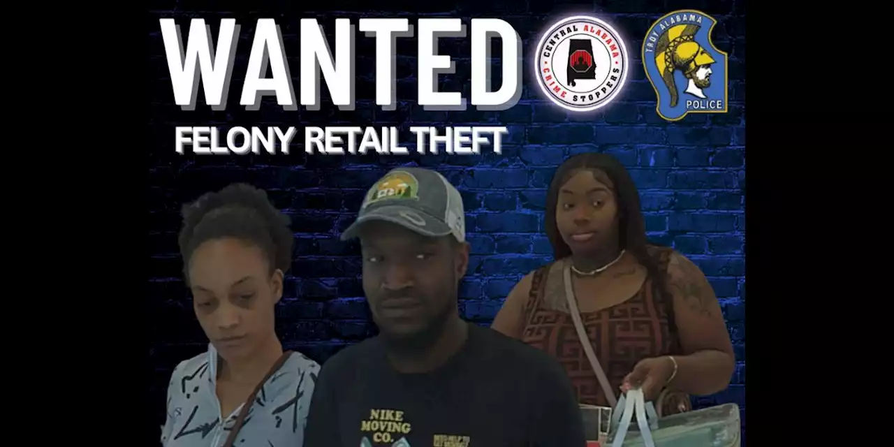 Troy Police Department investigating felony retail theft