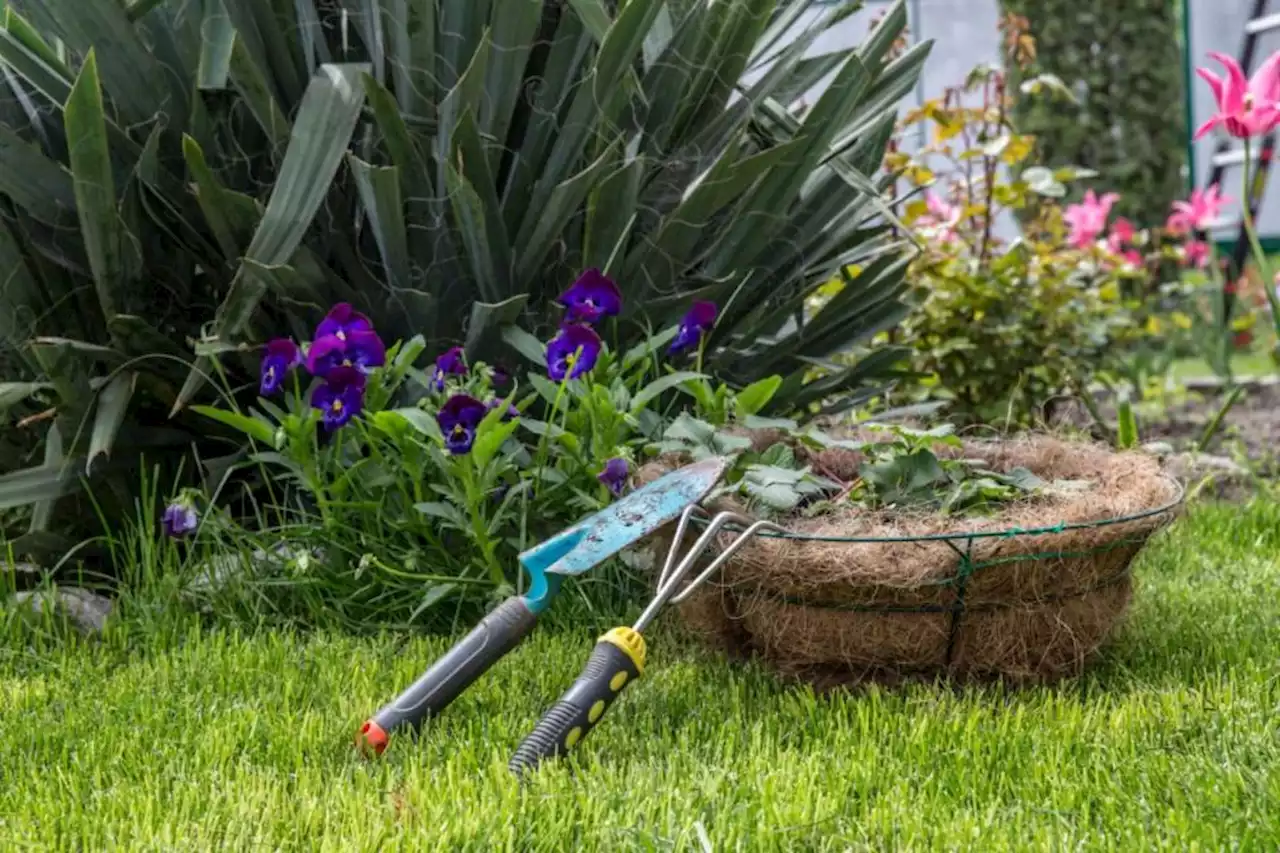 7 of the best garden centres in North Yorkshire according to Google Reviews