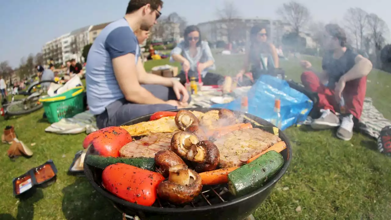 Alternativen beim Grillen: Knusprig braucht keine Grillkohle