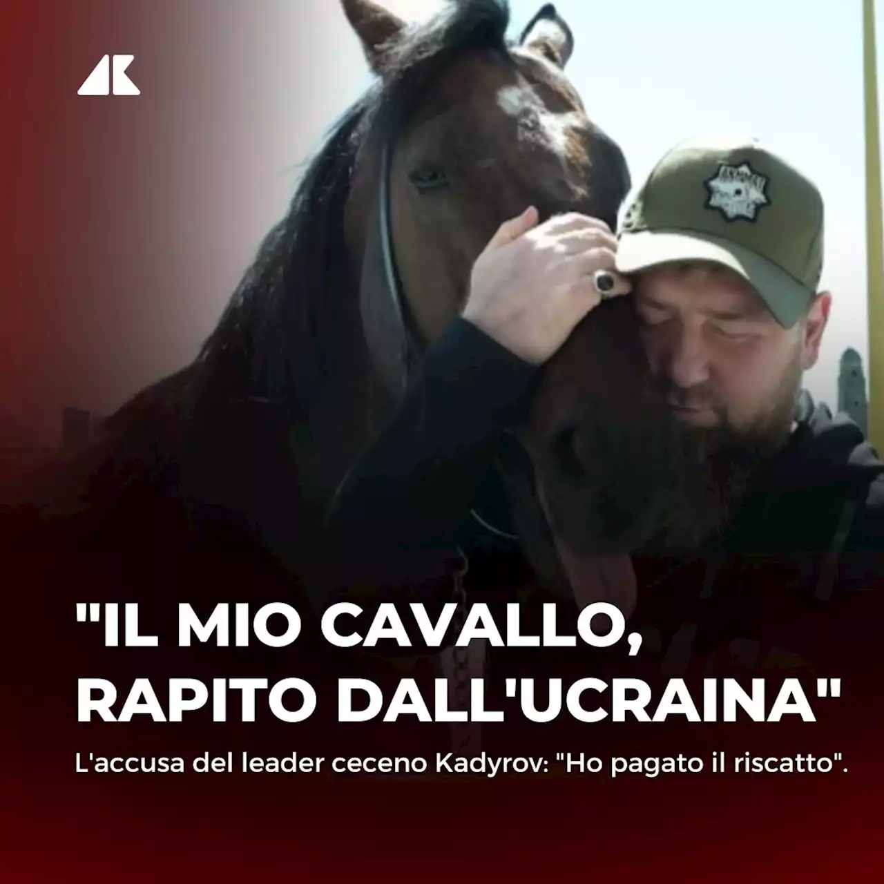 Kadyrov: 'Ucraina ha rapito il mio stallone'