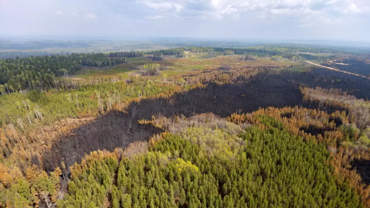 Alberta wildfire surge sparks unproven arson claims