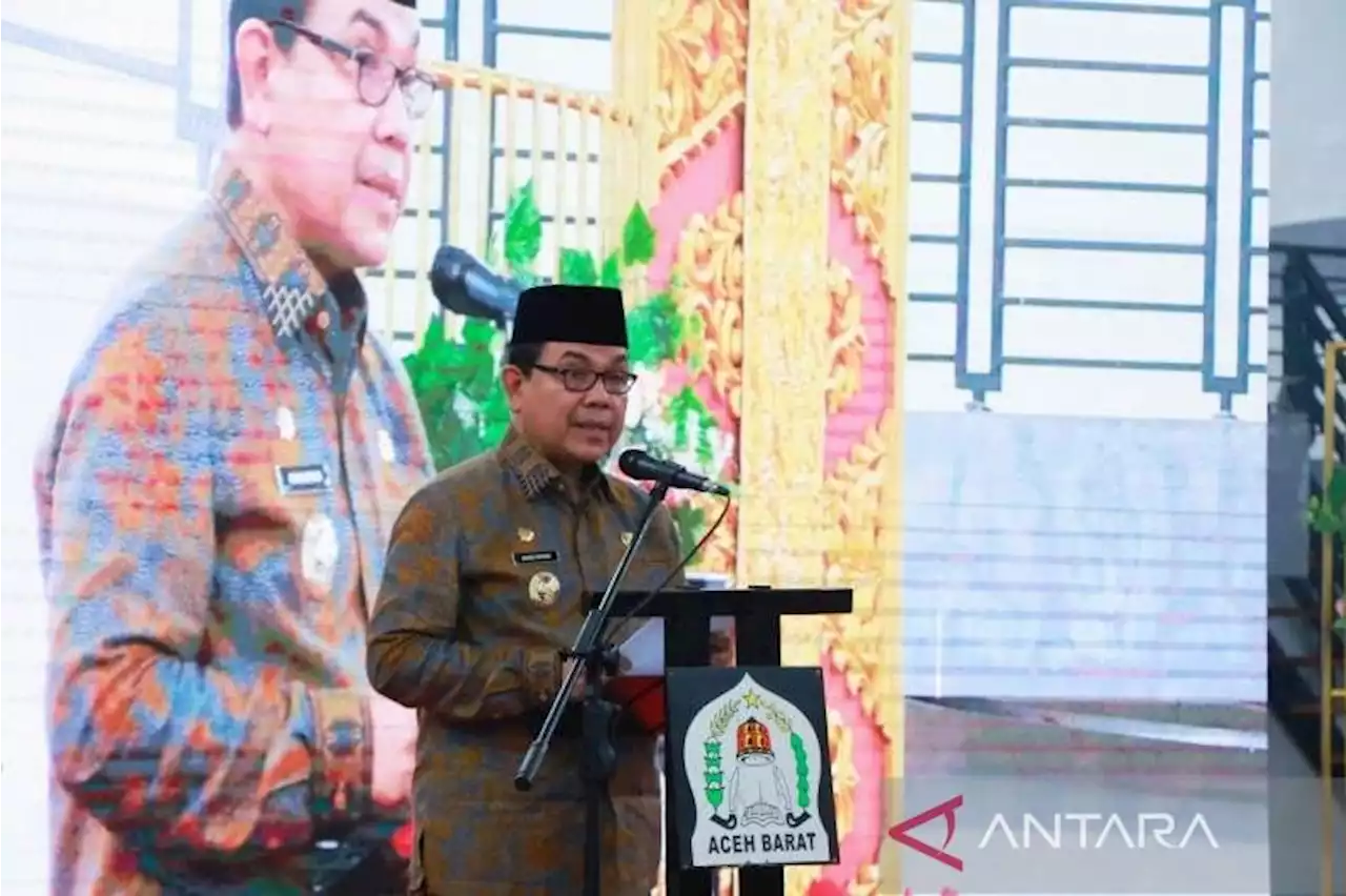 Investor asing berminat bangun pembangkit listrik di Aceh Barat