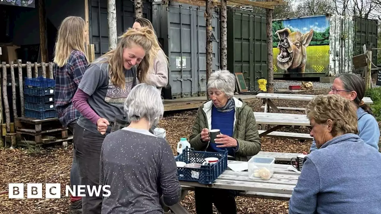 Women's Shed: Swansea farm offers friendship and purpose