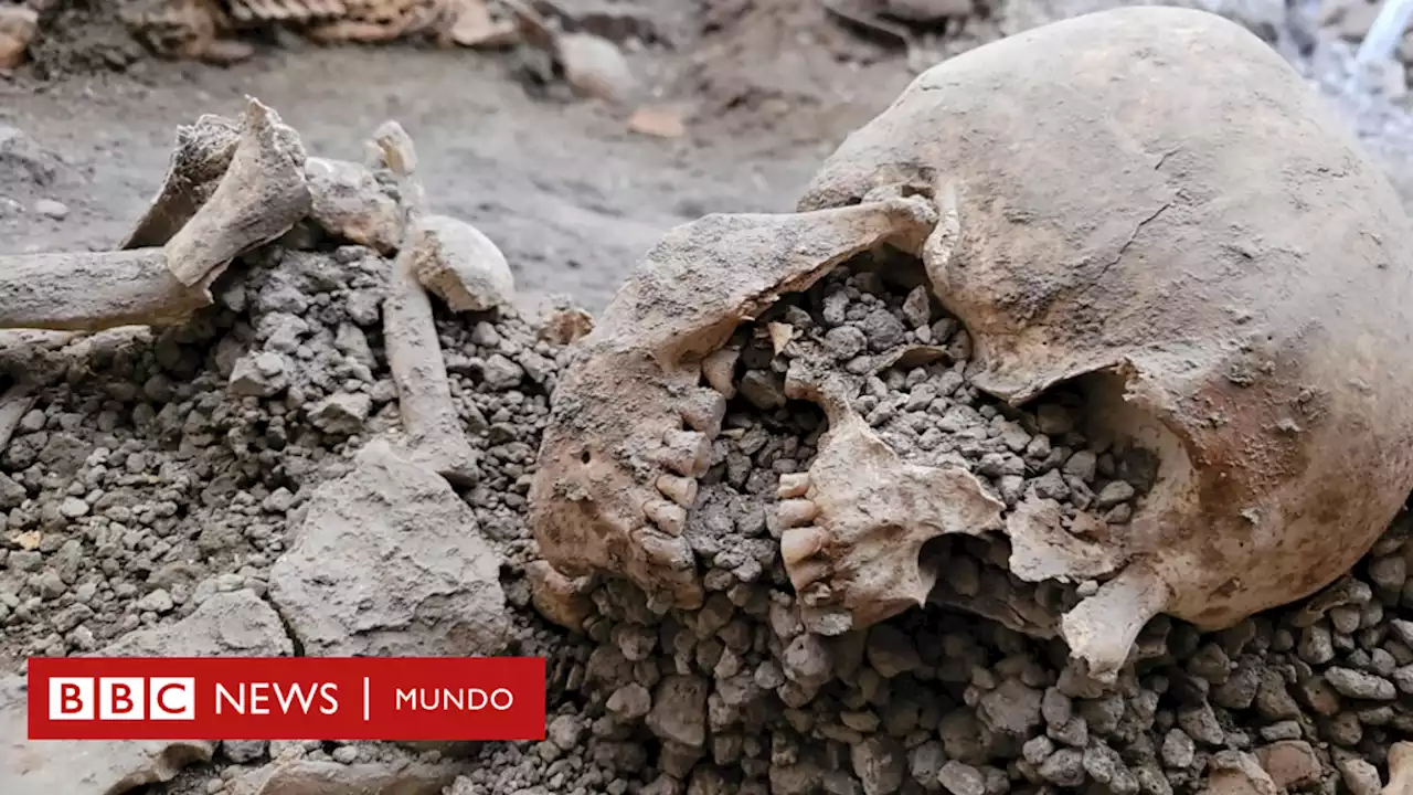 Lo que revelan los dos nuevos esqueletos hallados en las ruinas de Pompeya - BBC News Mundo