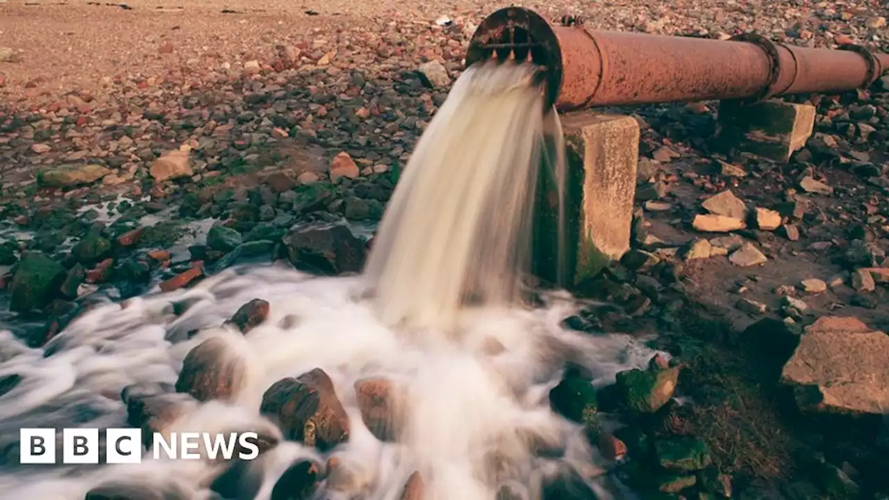 Scotland's river sewage must be more closely monitored - charity