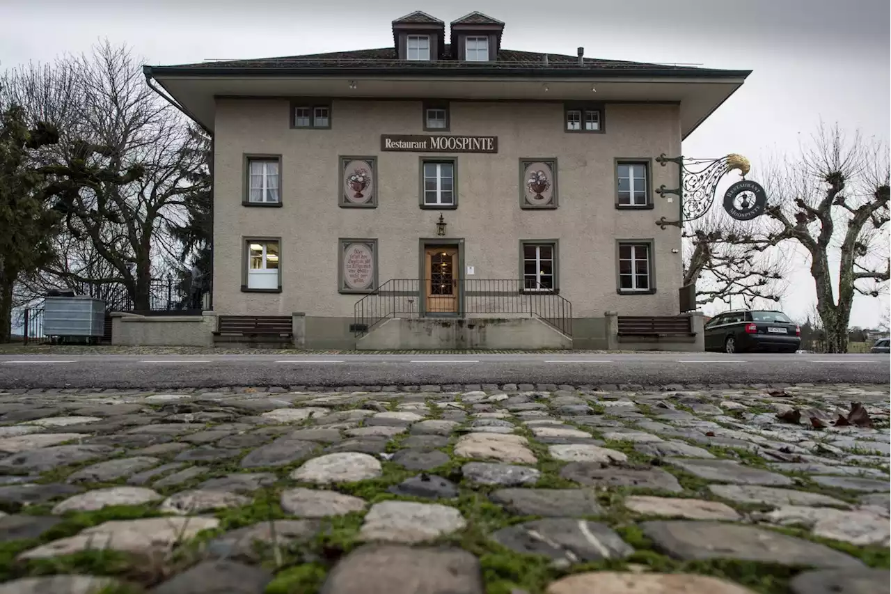 Bärn-Ticker – Lichterlöschen in der Moospinte Münchenbuchsee | Junge Wölfe im Tierpark Bern