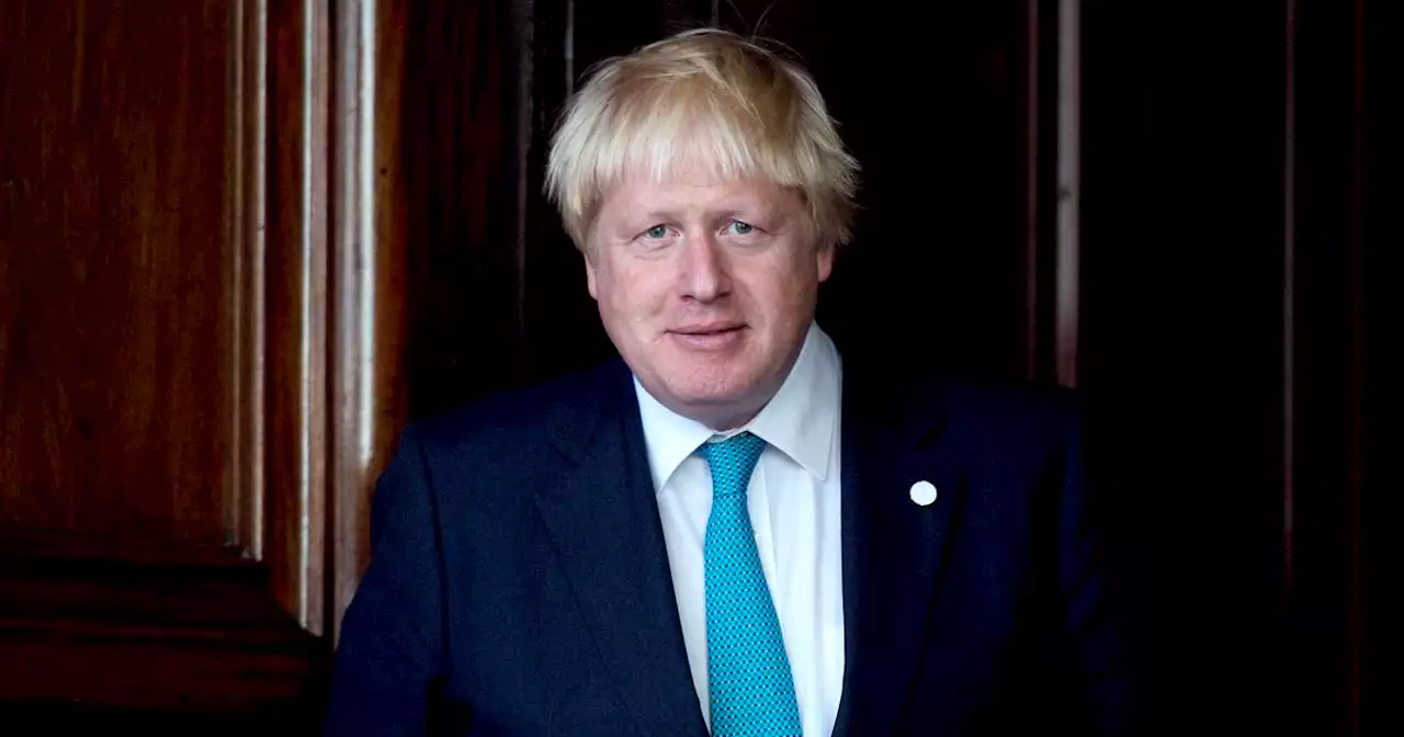 Boris Johnson: Der britische Politiker wird zum 8. Mal Vater