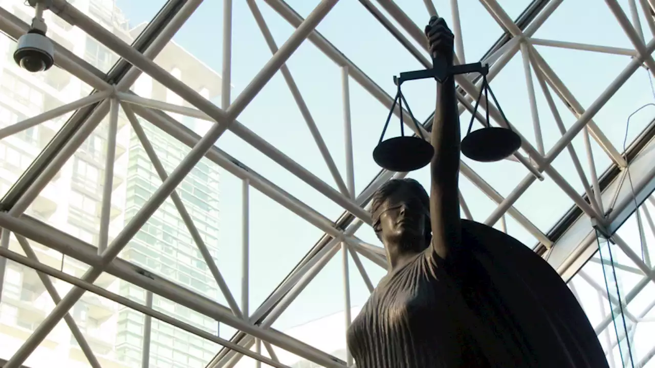 B.C. doctor who campaigned against COVID-19 vaccine sues court for $33M