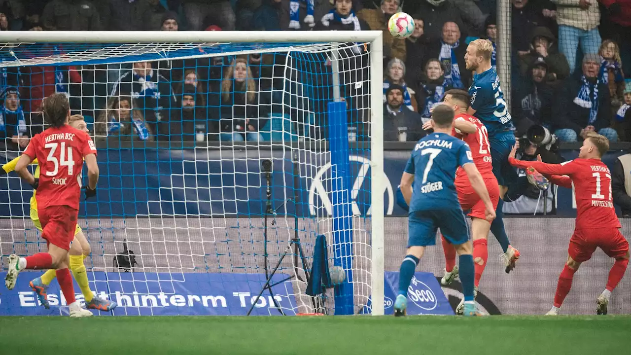 Fünf Fakten zum Spiel Hertha BSC gegen den VfL Bochum