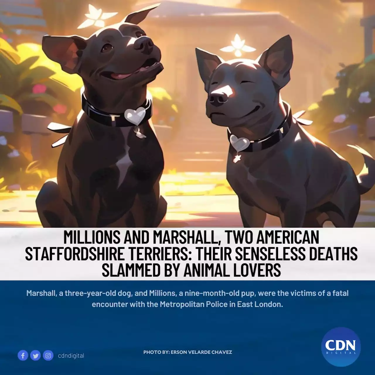 Millions and Marshall, two American Staffordshire Terriers: Their senseless deaths slammed by animal lovers