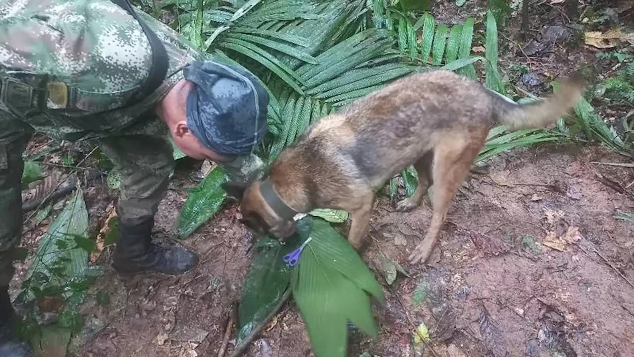 Las fuerzas armadas colombianas creen haber encontrado huellas que pueden pertenecer a los niños desaparecidos