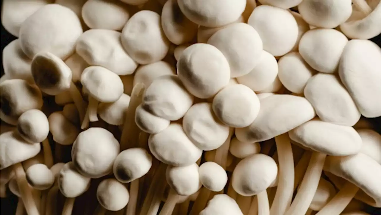 'Do not consume': Health Canada recalls brand of mushroom sold in Ontario