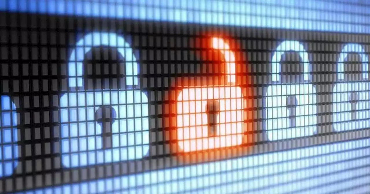 Hackers can steal your logins if you use this password manager | Digital Trends