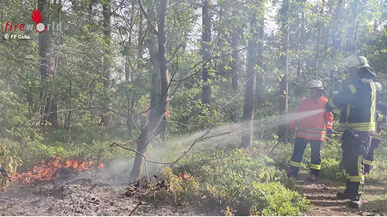 D: Feuerwehr Celle bekämpft kleinen Vegetationsbrand